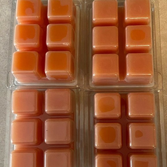 Thankful Harvest Better Homes Gardens Wax Cube Lot - Picture 2 of 2